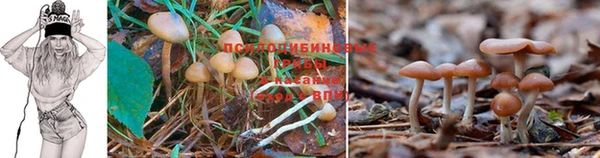 MDMA Premium VHQ Киреевск