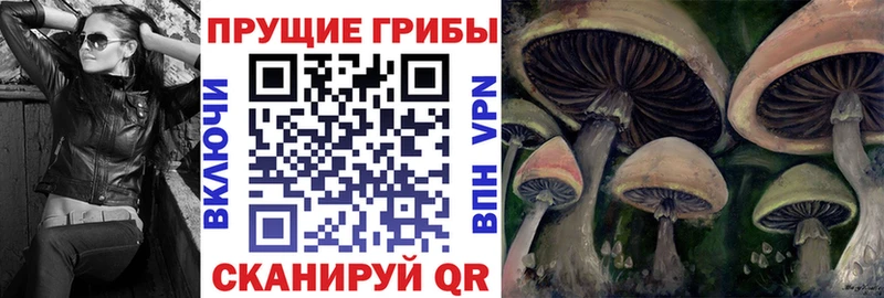 Псилоцибиновые грибы GOLDEN TEACHER  Купить закладки  Макушино 